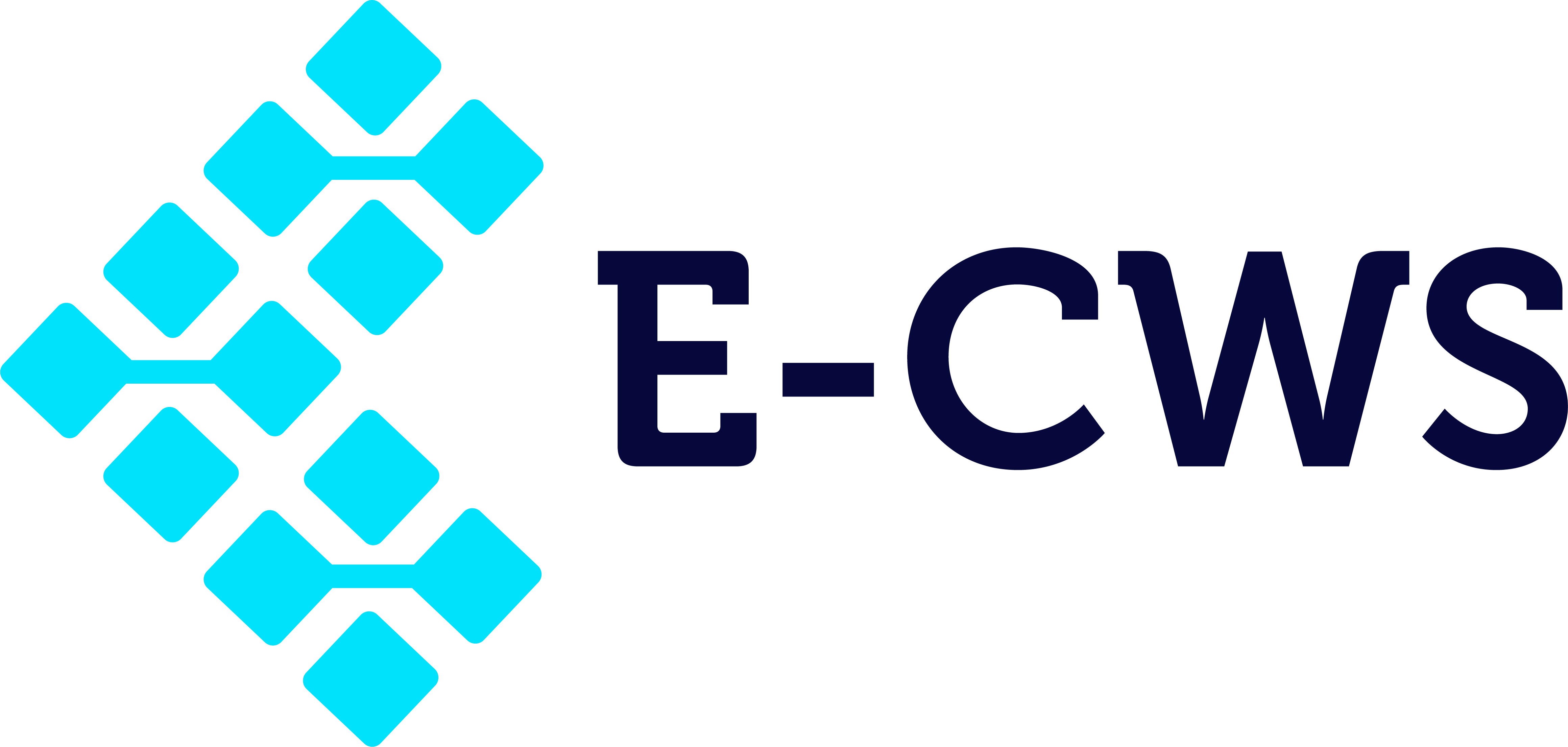 E-CWS Logo